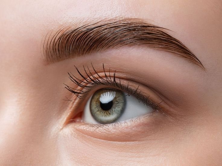 Eye Lashes